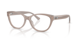 Brown/Grey / Demo Lens (6349)