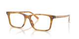 Shiny Tortoise Light Brown / Demo Lens (6185)
