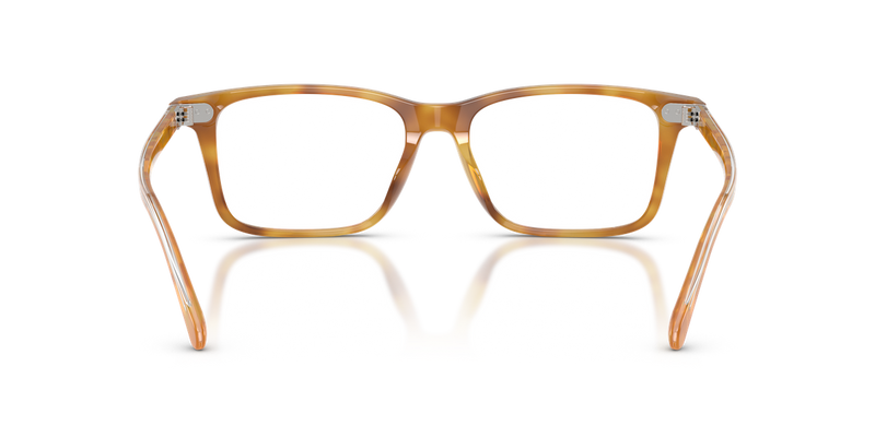 Ralph Lauren RL6264U in Shiny Tortoise Light Brown - Alternate View