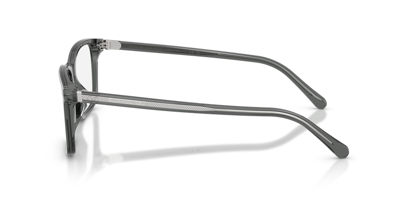 Ralph Lauren RL6264U in Transparent Grey - Alternate View