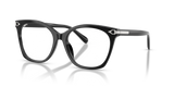 Shiny Black / Demo Lens (5001)