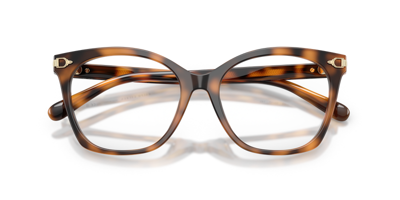 Ralph Lauren RL6266U in Havana - Alternate View