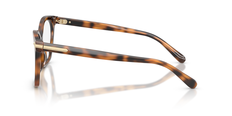 Ralph Lauren RL6266U in Havana - Alternate View