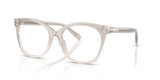 Transparent Grey/Pink / Demo Lens (6112)