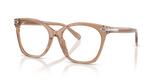 Transparent Dusty Brown / Demo Lens (6377)