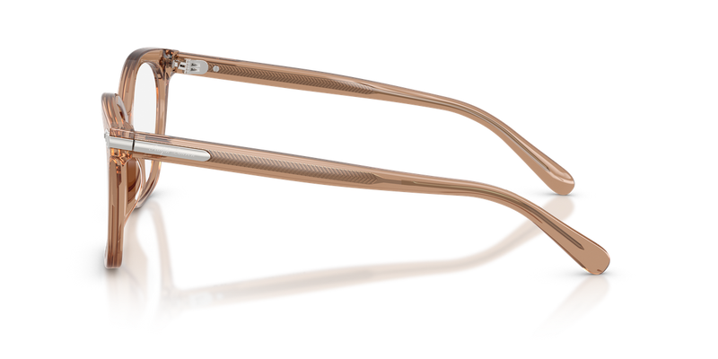 Ralph Lauren RL6266U in Transparent Dusty Brown - Alternate View