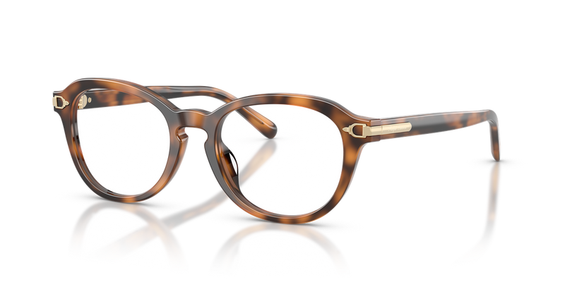 Ralph Lauren RL6267U in Havana - Alternate View