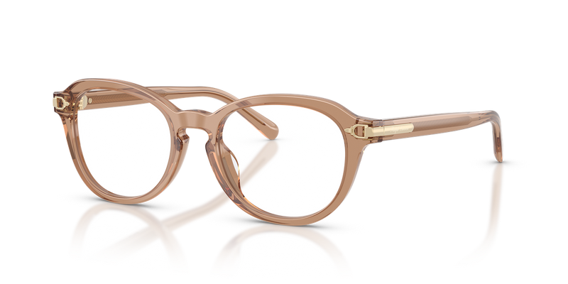 Ralph Lauren RL6267U in Transparent Dusty Brown - Alternate View