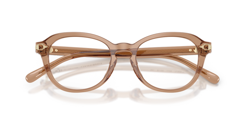 Ralph Lauren RL6267U in Transparent Dusty Brown - Alternate View