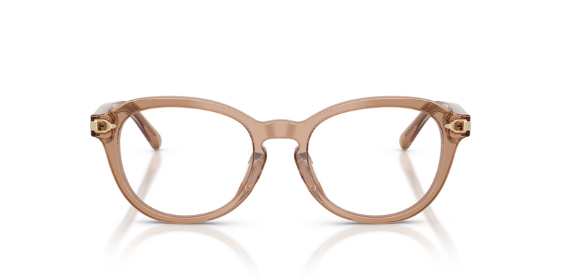 Ralph Lauren RL6267U in Transparent Dusty Brown - Alternate View