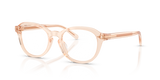 Transparent Rose / Demo Lens (6385)