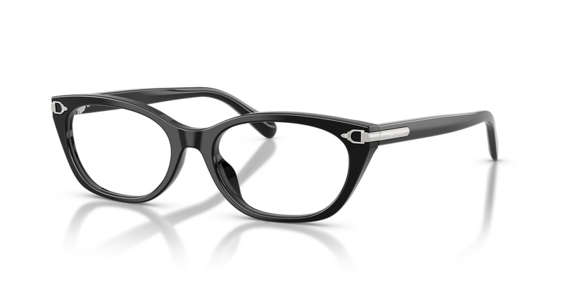 Ralph Lauren RL6268U in Shiny Black - Alternate View