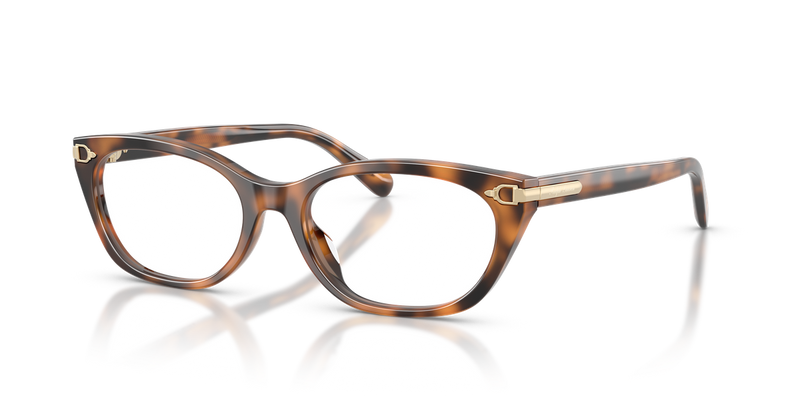 Ralph Lauren RL6268U in Havana - Front View