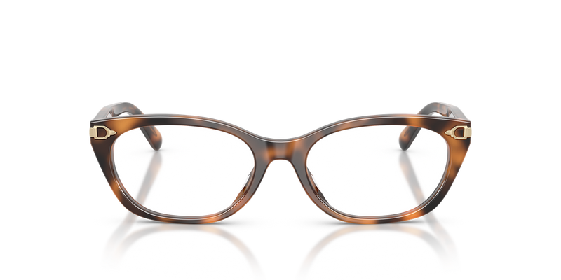 Ralph Lauren RL6268U in Havana - Alternate View