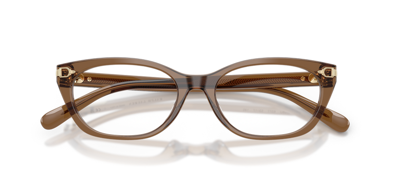 Ralph Lauren RL6268U in Transparent Dusty Brown - Alternate View