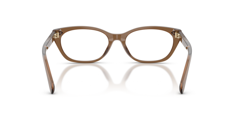 Ralph Lauren RL6268U in Transparent Dusty Brown - Alternate View