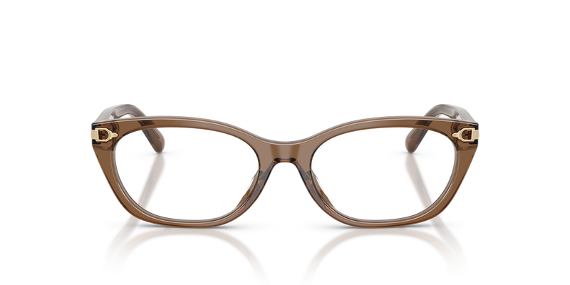 Ralph Lauren RL6268U in Transparent Dusty Brown - Alternate View
