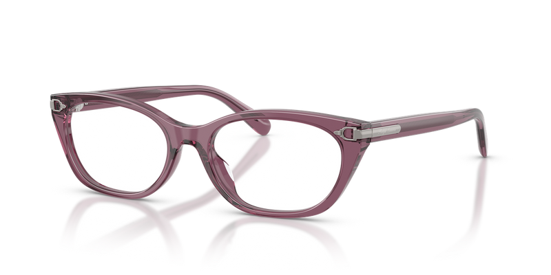 Ralph Lauren RL6268U in Transparent Purple - Alternate View