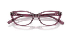 Transparent Purple / Demo Lens (6389)