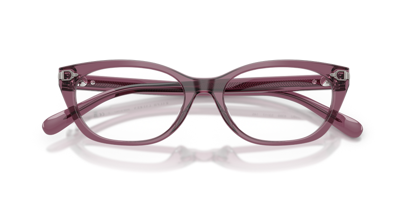 Ralph Lauren RL6268U in Transparent Purple - Alternate View