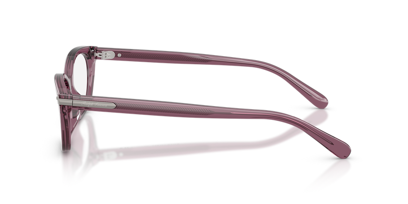 Ralph Lauren RL6268U in Transparent Purple - Alternate View