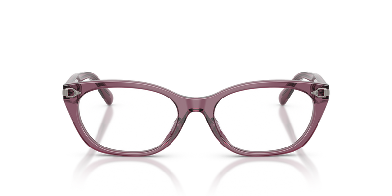 Ralph Lauren RL6268U in Transparent Purple - Alternate View