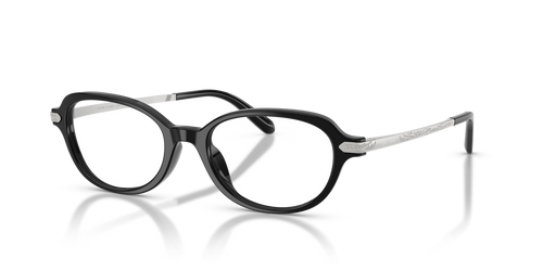 Shiny Black / Demo Lens (5001)