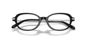 Shiny Black / Demo Lens (5001)