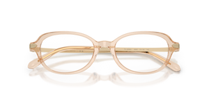 Transparent Brown / Demo Lens (6062)