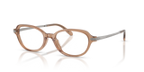 Transparent Dusty Brown / Demo Lens (6377)