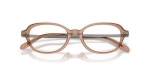 Transparent Dusty Brown / Demo Lens (6377)