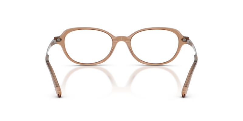 Ralph Lauren RL6269U in Transparent Dusty Brown - Alternate View