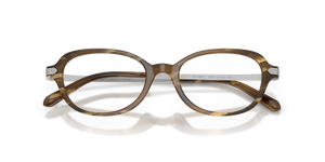Brown Oystershell / Demo Lens (6378)