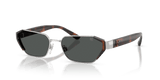 Shiny Silver / Dark Grey (900187)