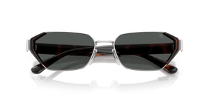 Shiny Silver / Dark Grey (900187)