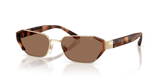 Pale Gold / Brown (911673)