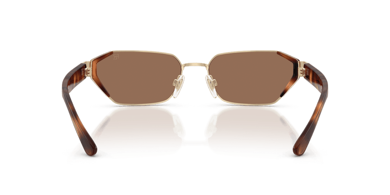 Ralph Lauren RL7094 in Pale Gold / Brown (911673) - Alternate View