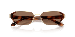 Pale Gold / Brown (911673)