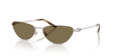 Shiny Silver / Light Brown (900173)