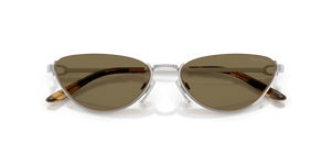 Shiny Silver / Light Brown (900173)