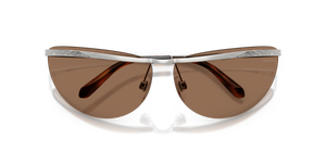 Shiny Silver / Dark Brown (900173)
