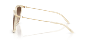 Cream Horn / Gradient Brown (610713)