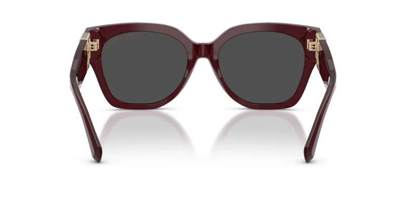 Ralph Lauren THE OVERSZED RICKY in Solid Bordeaux / Dark Grey (508387) - Back View