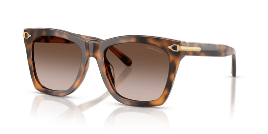 Ralph Lauren RL8235U - Havana / Gradient Brown (608913)