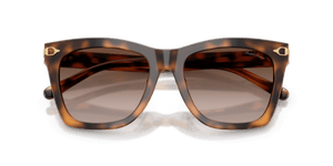 Havana / Gradient Brown (608913)