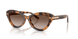 Havana / Gradient Brown (608913)