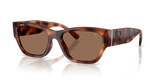 Blush Tortoise / Brown (635173)