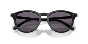 Shiny Black / Purple (50011A)