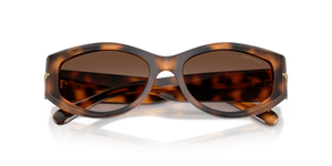 Havana / Gradient Brown (608913)