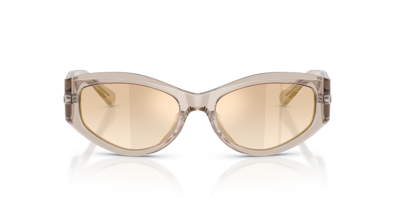 Ralph Lauren RL8243U in Transparent Grey - Alternate View